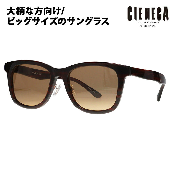【正規品販売店】シェネガ サングラス CN-KS04 2 54 CIENEGA 大きいサイズ ラージサイズ ビッグサイズ キングサイズ 大きめ ワイド メンズ ウェリントン セル フルリム 伊達メガネ 眼鏡
