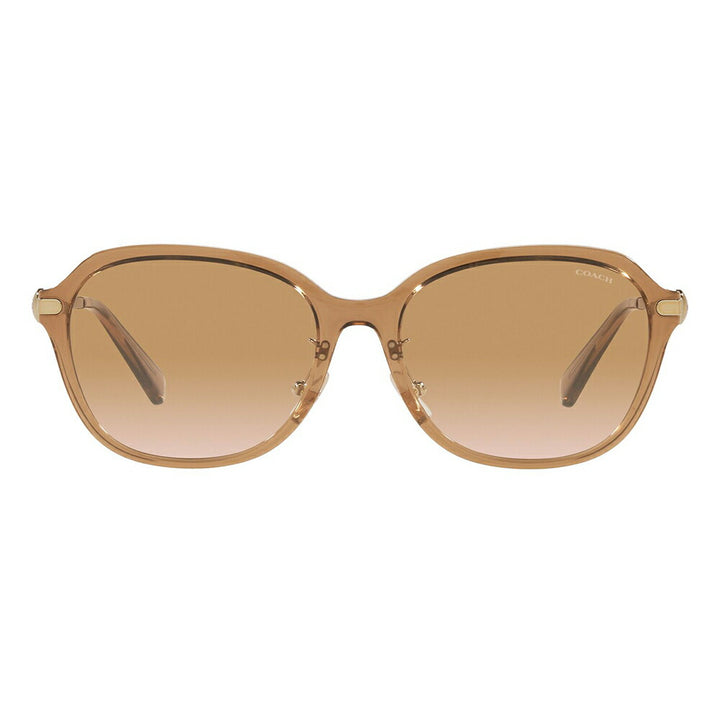 【正规品贩売店】コーチ 伊达 メガネ 眼镜 サngugurasuHC8332D 565413 56 COACH rekutanguru セル redィーsu おしゃれ