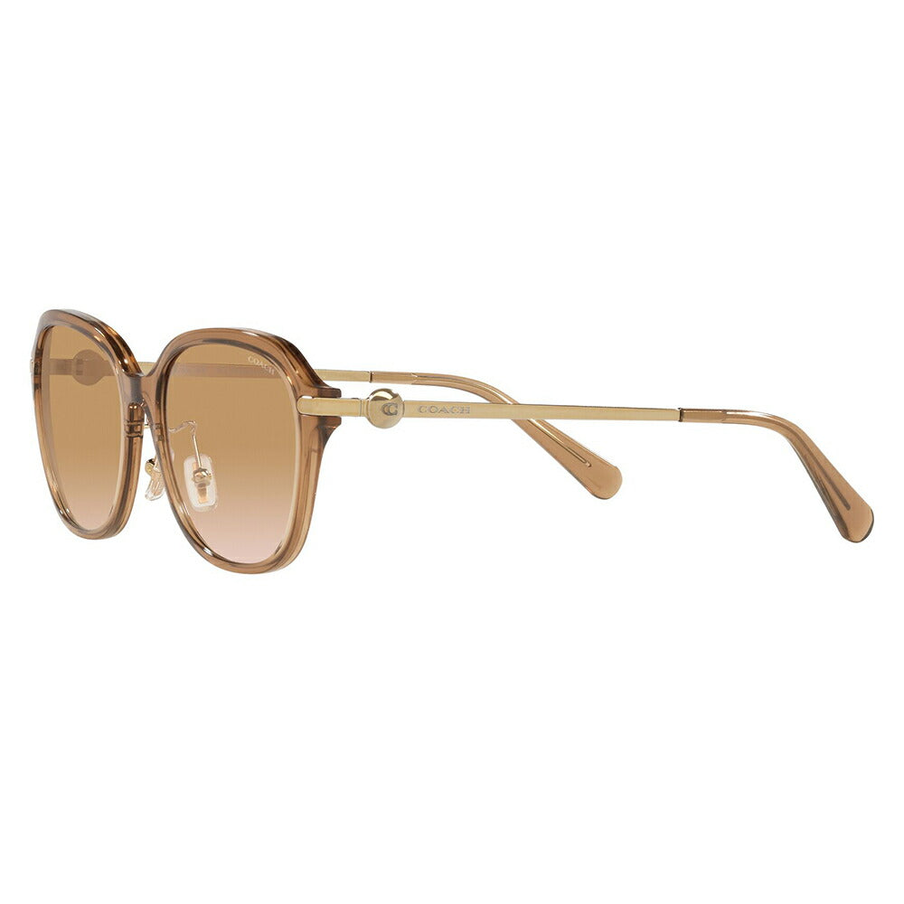 【正规品贩売店】コーチ 伊达 メガネ 眼镜 サngugurasuHC8332D 565413 56 COACH rekutanguru セル redィーsu おしゃれ