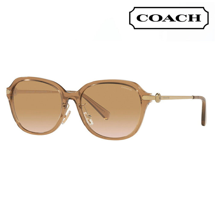 【正规品贩売店】コーチ 伊达 メガネ 眼镜 サngugurasuHC8332D 565413 56 COACH rekutanguru セル redィーsu おしゃれ