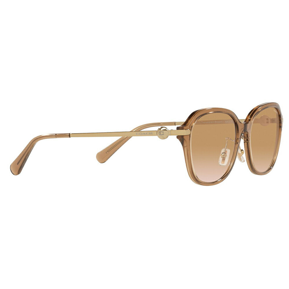 【正规品贩売店】コーチ 伊达 メガネ 眼镜 サngugurasuHC8332D 565413 56 COACH rekutanguru セル redィーsu おしゃれ