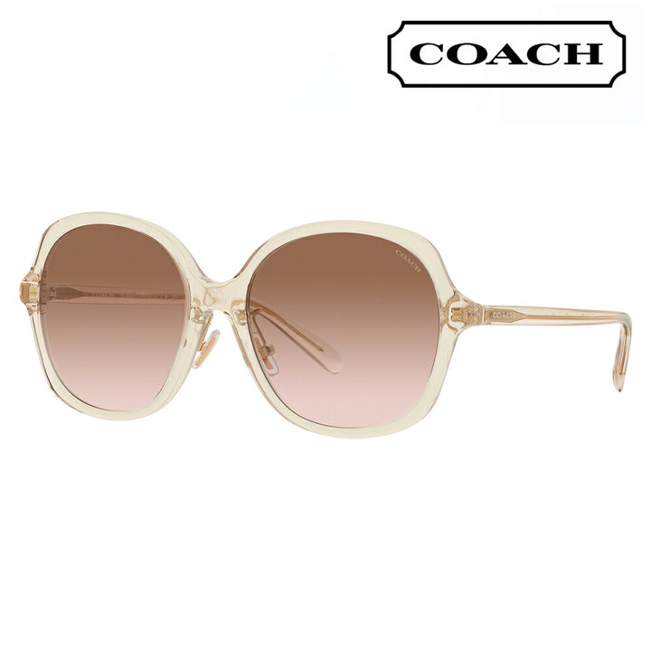 [Recommended Price] Coach Glasses, Sunglasses HC8360F 573613 58 COACH Boston Wellington Full Fit Model for Women 