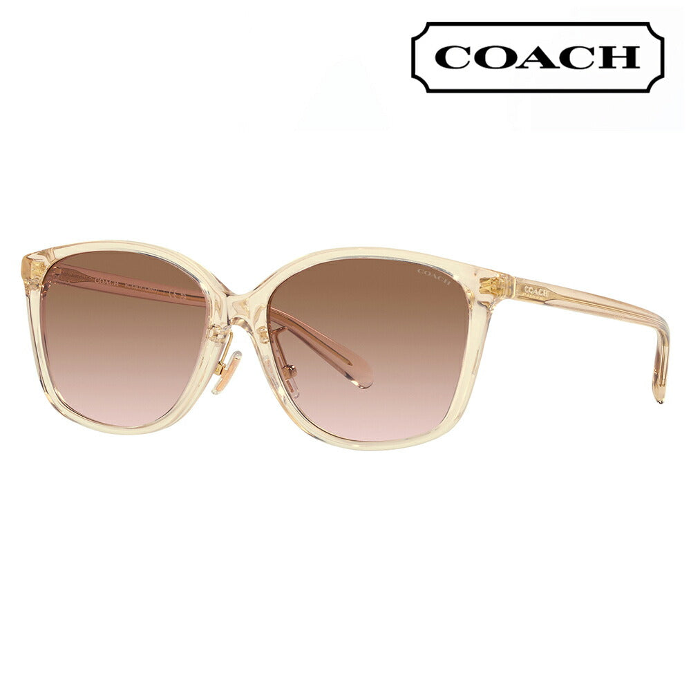 [Recommended Price] Coach Glasses, Sunglasses HC8361F 573613 57 COACH Boston Wellington Full Fit Model for Women 