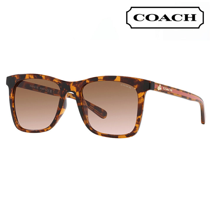 [Recommended Price] Coach Sunglasses HC8374F 512013 54 COACH Wellington Square Cell Women's Disney Full Fit Model 