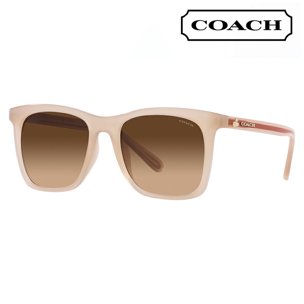 [Recommended Price] Coach Sunglasses HC8374F 574774 54 COACH Wellington Square Cell Women's Disney Full Fit Model 