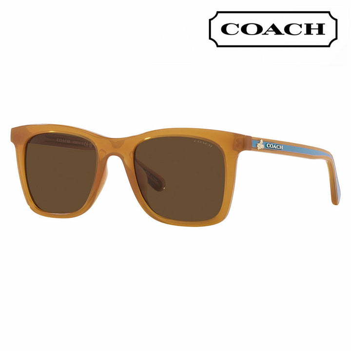 [Recommended Price] Coach Sunglasses HC8374F 57483G 54 COACH Wellington Square Cell Women's Disney Full Fit Model 