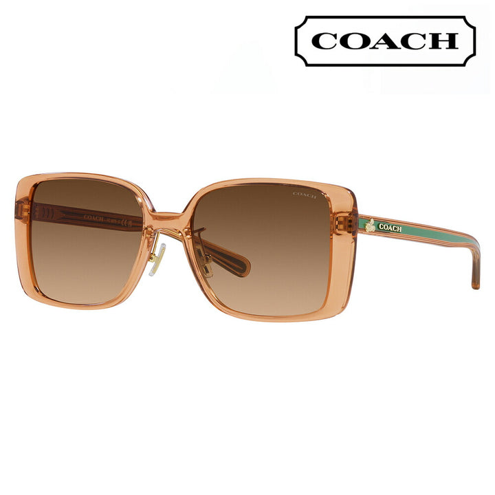 [Authorized Retailer] Coach Sunglasses HC8375 574974 56 COACH Square Cell Women's Disney Made in Italy 