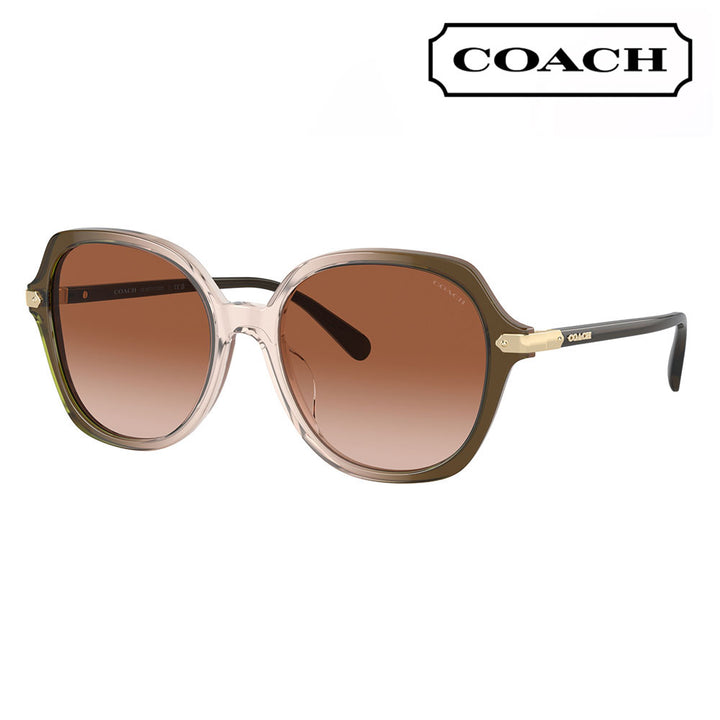 【オススメ価格】コーチ 伊達 メガネ 眼鏡 サングラス HC8377U 540013 55 COACH ラウンド セル レディース ユニバーサルフィット