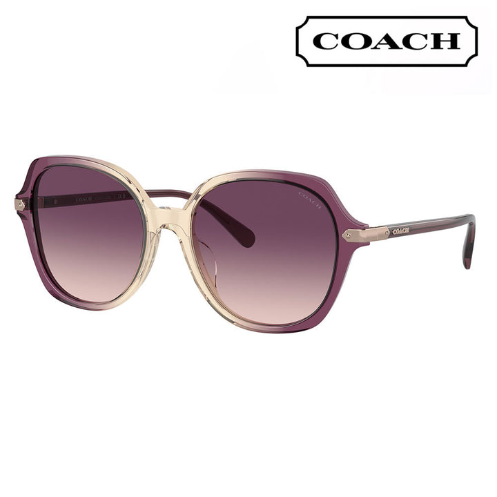 【正规品贩売店】コーチ 伊达 メガネ 眼镜 サngugurasu HC8377U 57737W 55 COACH ラウンド セル redディース ユニバーサルfitto 