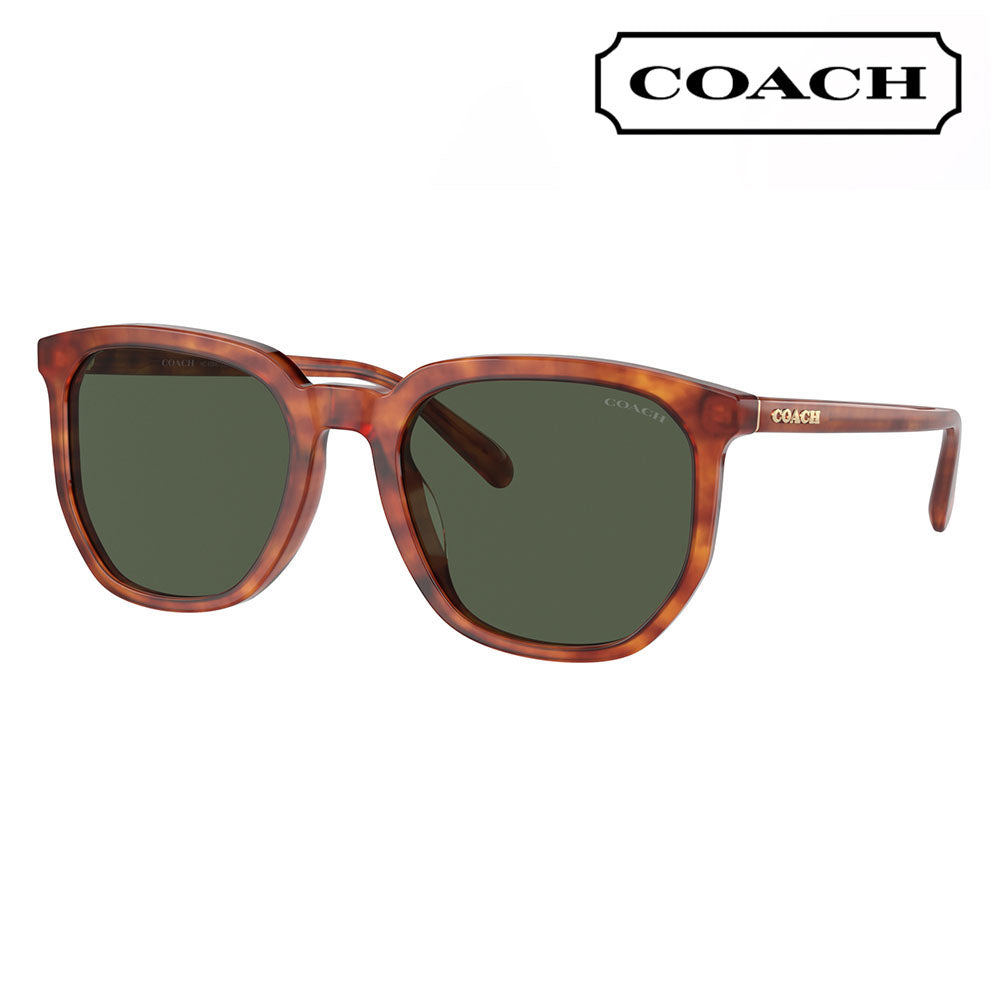 【オススメ価格】コーチ サングラス HC8384U 577482 55 COACH 紫外線 ウェリントン ボストン レディース ユニバーサルフィット レディース UVカット