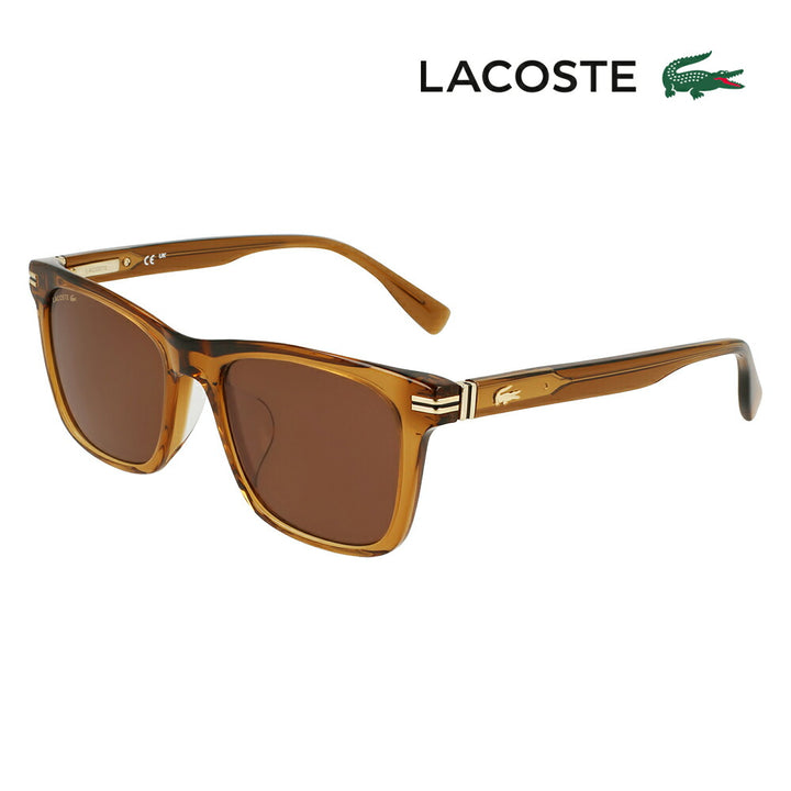 【正規品販売店】 ラコステ サングラス L6050SLB 232 53 LACOSTE アセテート ウェリントン メンズ レディース ラコステ アイウェア アンバサダー 宮世琉弥さん着用モデル