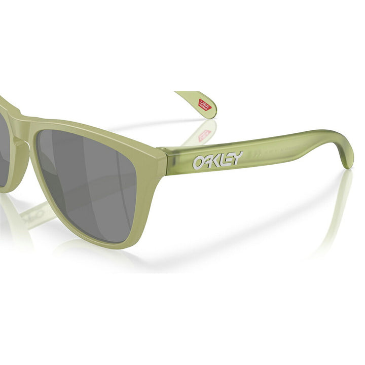 【正規品販売店】オークリー サングラス OO9245-E9 OAKLEY フロッグスキン アジアフィット FROGSKINS 偏光 プリズム ウェリントン