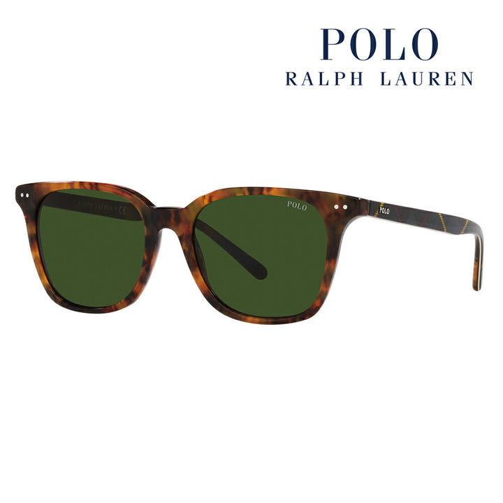 【オススメ価格】ポロ ラルフローレン サングラス　PH4187F 501771 53 POLO RALPH LAUREN スクエア ウェリントン フルフィットモデル セル 伊達メガネ 眼鏡