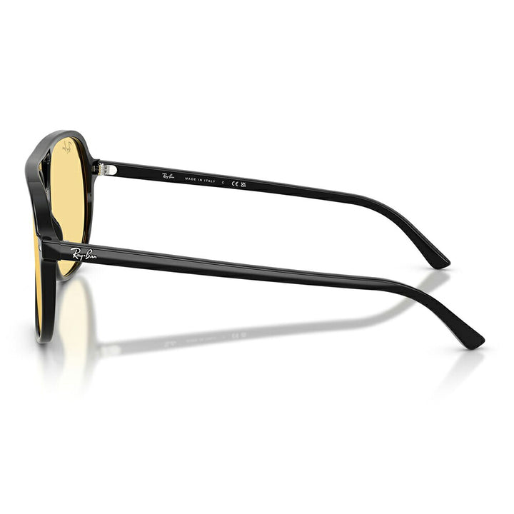 【正規品販売店】レイバン サングラス RB2198 901/R6 60 Ray-Ban レイバン純正レンズ対応 BILL ビル アビエーター ティアドロップ