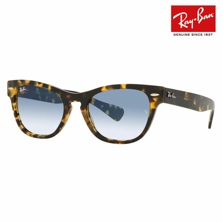 [Recommended Price] Ray-Ban Sunglasses RB2201 13323F 54 Ray-Ban LARAMIE Wellington Fashion Glasses Eyeglasses 