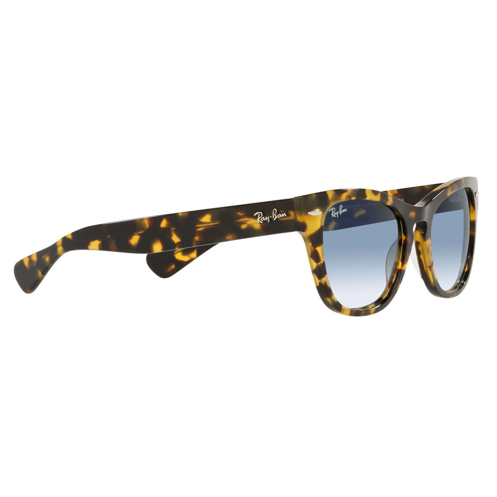 [Recommended Price] Ray-Ban Sunglasses RB2201 13323F 54 Ray-Ban LARAMIE Wellington Fashion Glasses Eyeglasses 