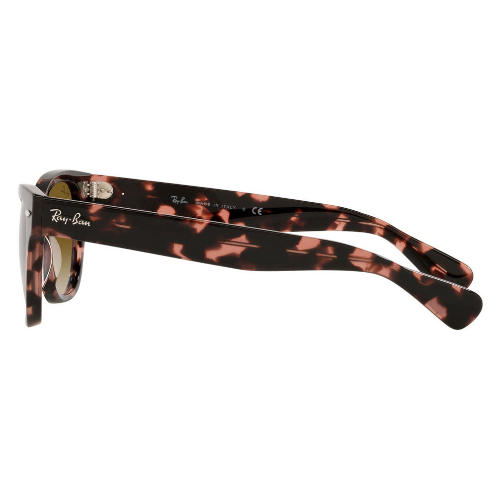 【オsusume価格】reiban サngurasu RB2201 133451 54 Ray-Ban LARAMIE ララミー ウェrinton 伊达メガネ 眼镜