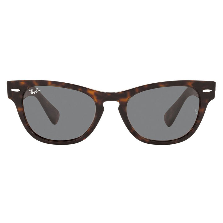 【正規品販売店】レイバン サングラス RB2201 902/B1 54 Ray-Ban レイバン純正レンズ対応 LARAMIE ララミー ウェリントン 伊達メガネ 眼鏡