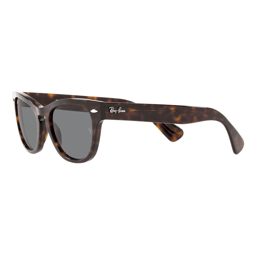 【正規品販売店】レイバン サングラス RB2201 902/B1 54 Ray-Ban レイバン純正レンズ対応 LARAMIE ララミー ウェリントン 伊達メガネ 眼鏡