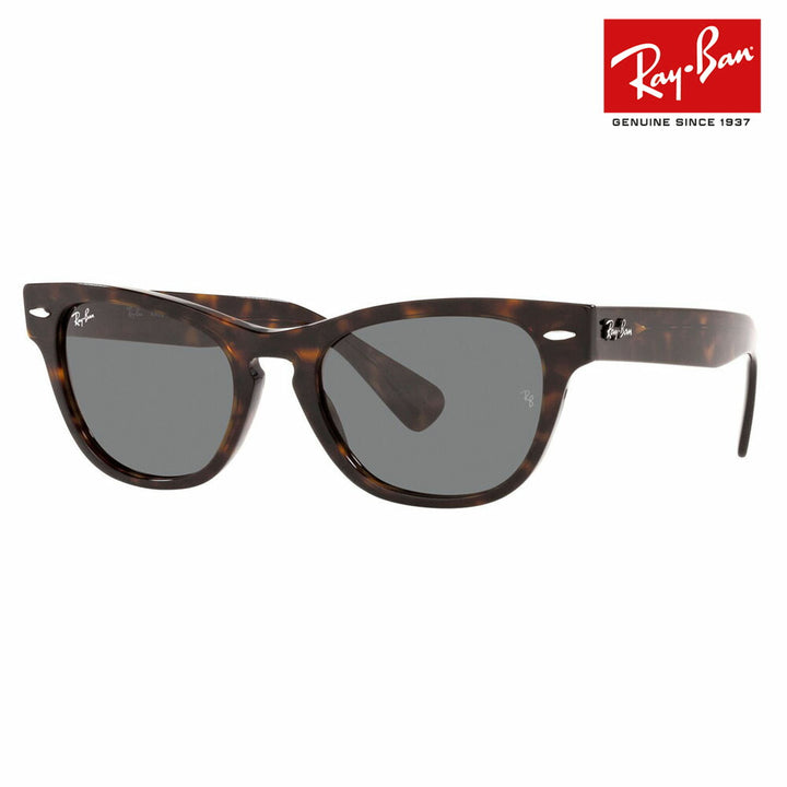 【正規品販売店】レイバン サングラス RB2201 902/B1 54 Ray-Ban レイバン純正レンズ対応 LARAMIE ララミー ウェリントン 伊達メガネ 眼鏡