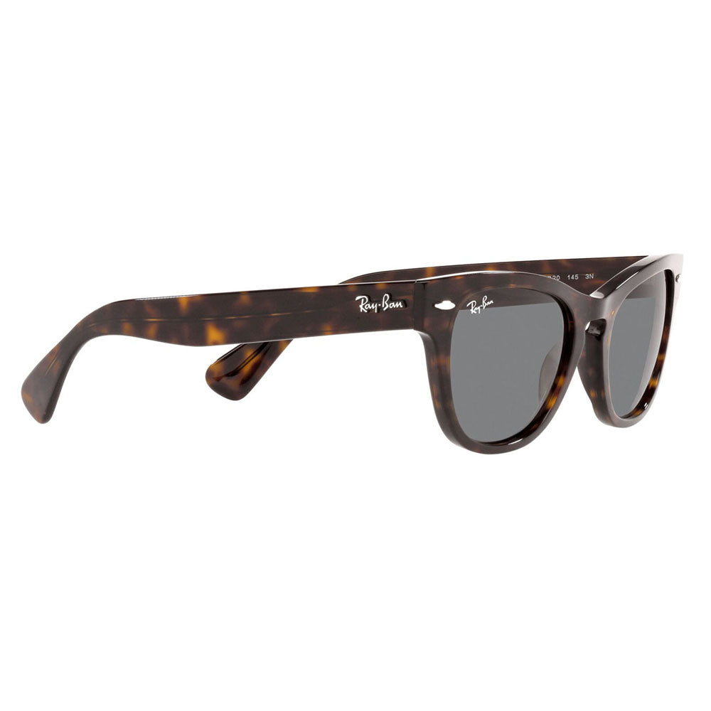 【正規品販売店】レイバン サングラス RB2201 902/B1 54 Ray-Ban レイバン純正レンズ対応 LARAMIE ララミー ウェリントン 伊達メガネ 眼鏡