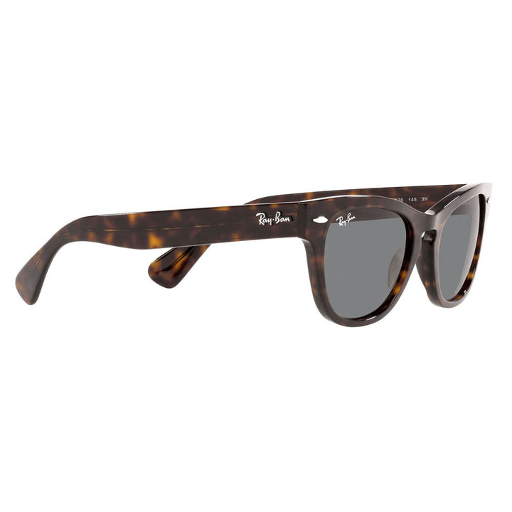 【正規品販売店】レイバン サングラス RB2201 902/B1 54 Ray-Ban レイバン純正レンズ対応 LARAMIE ララミー ウェリントン 伊達メガネ 眼鏡