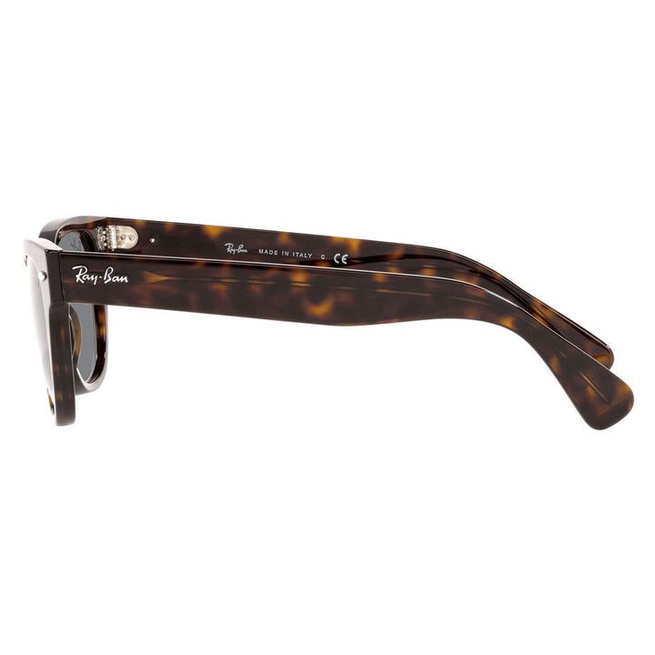 【正規品販売店】レイバン サングラス RB2201 902/B1 54 Ray-Ban レイバン純正レンズ対応 LARAMIE ララミー ウェリントン 伊達メガネ 眼鏡