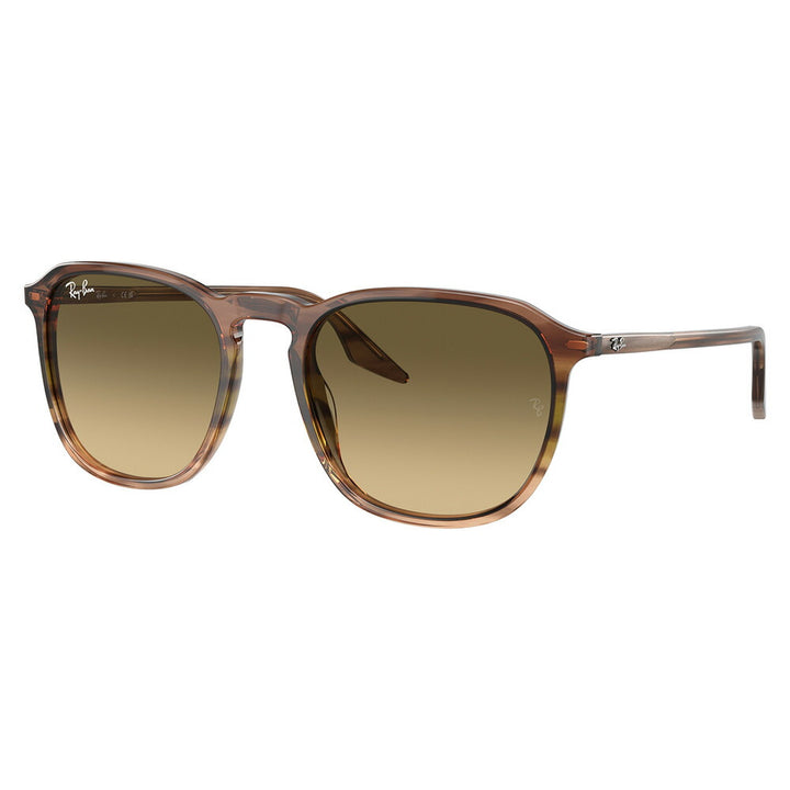 【オススメ価格】レイバン サングラス RB2203F 13920A 55 Ray-Ban 伊達メガネ 眼鏡 フルフィットモデル スクエア ウェリントン