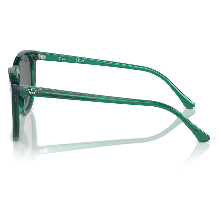 [Authorized Retailer] Ray-Ban Sunglasses RB2210F 6615B1 53 Ray-Ban Compatible with Ray-Ban Genuine Lenses Wellington Cell Fashion Glasses Eyeglasses 