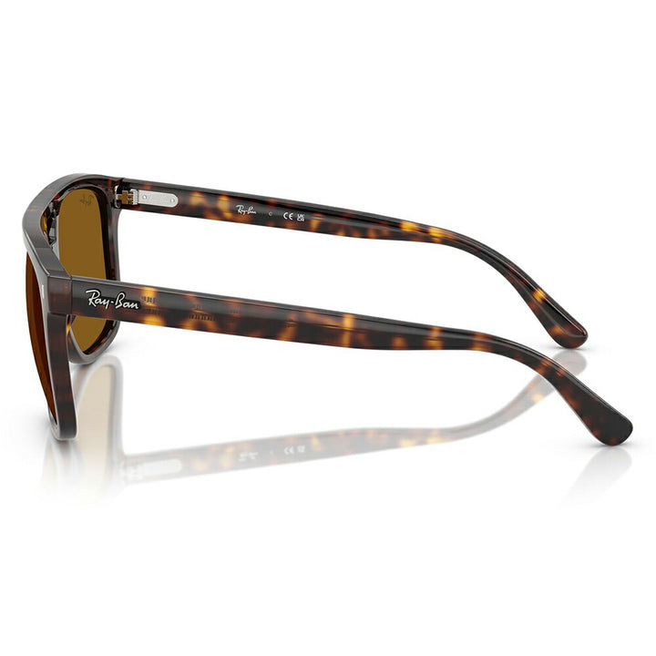 【正規品販売店】レイバン サングラス RB2213 902/33 55 58 Ray-Ban セル スクエア ダブルブリッジ ユニセックス