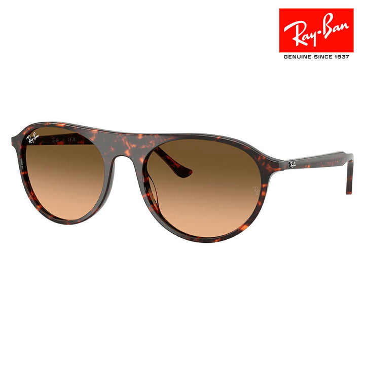【正規品販売店】レイバン サングラス RB2215F 14293B 56 Ray-Ban レイバン純正レンズ対応 スクエア ラウンド セル フルフィット ユニセックス