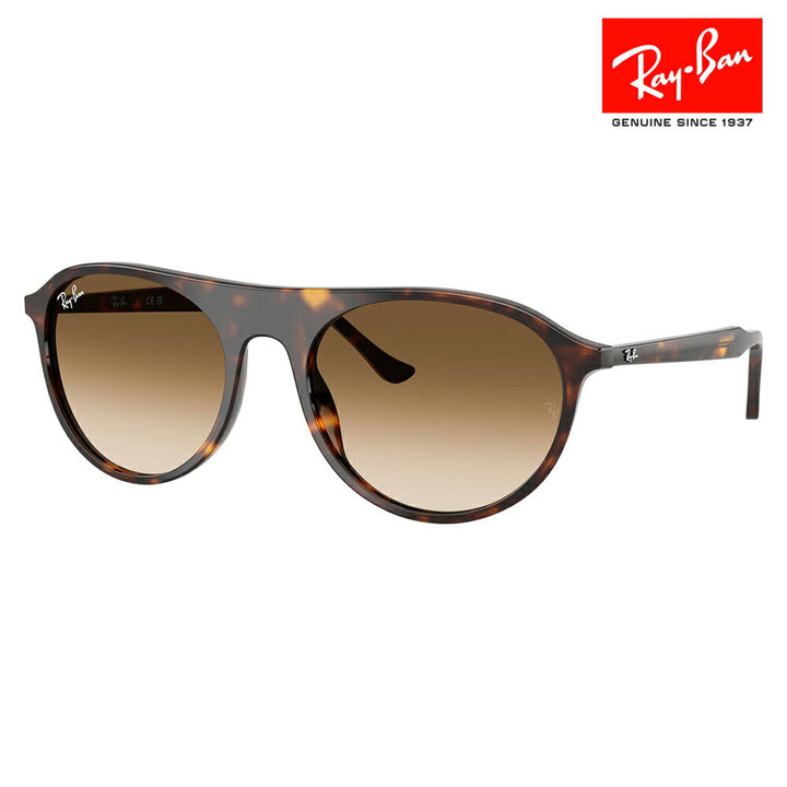 【正規品販売店】レイバン サングラス RB2215F 902/51 56 Ray-Ban レイバン純正レンズ対応 スクエア ラウンド セル フルフィット ユニセックス