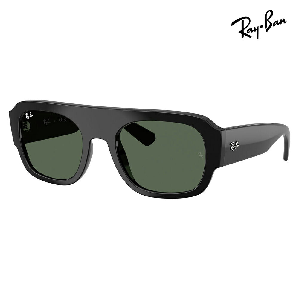 【正規品販売店】レイバン サングラス RB2218 679071 55 Ray-Ban レイバン純正レンズ対応 多角形 セル ユニセックス
