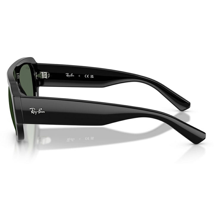 【正規品販売店】レイバン サングラス RB2218 667771 55 Ray-Ban レイバン純正レンズ対応 多角形 セル ユニセックス