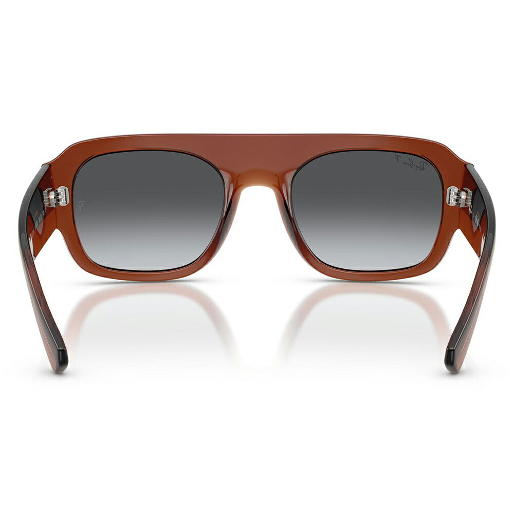 【正規品販売店】レイバン サングラス RB2218 6678T3 55 Ray-Ban レイバン純正レンズ対応 多角形 セル ユニセックス 偏光