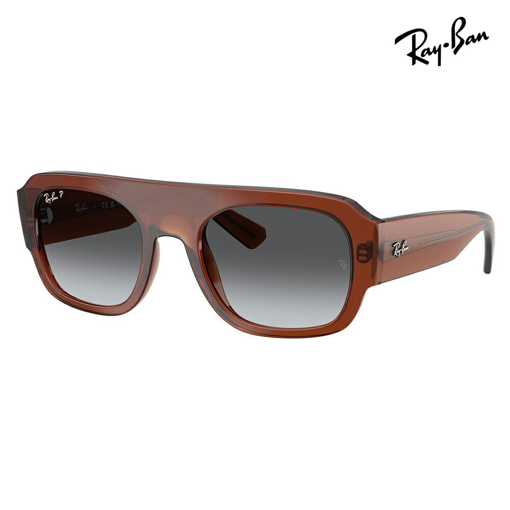 【正規品販売店】レイバン サングラス RB2218 6678T3 55 Ray-Ban レイバン純正レンズ対応 多角形 セル ユニセックス 偏光