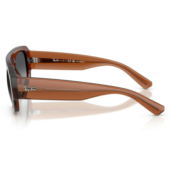 【正規品販売店】レイバン サングラス RB2218 6678T3 55 Ray-Ban レイバン純正レンズ対応 多角形 セル ユニセックス 偏光