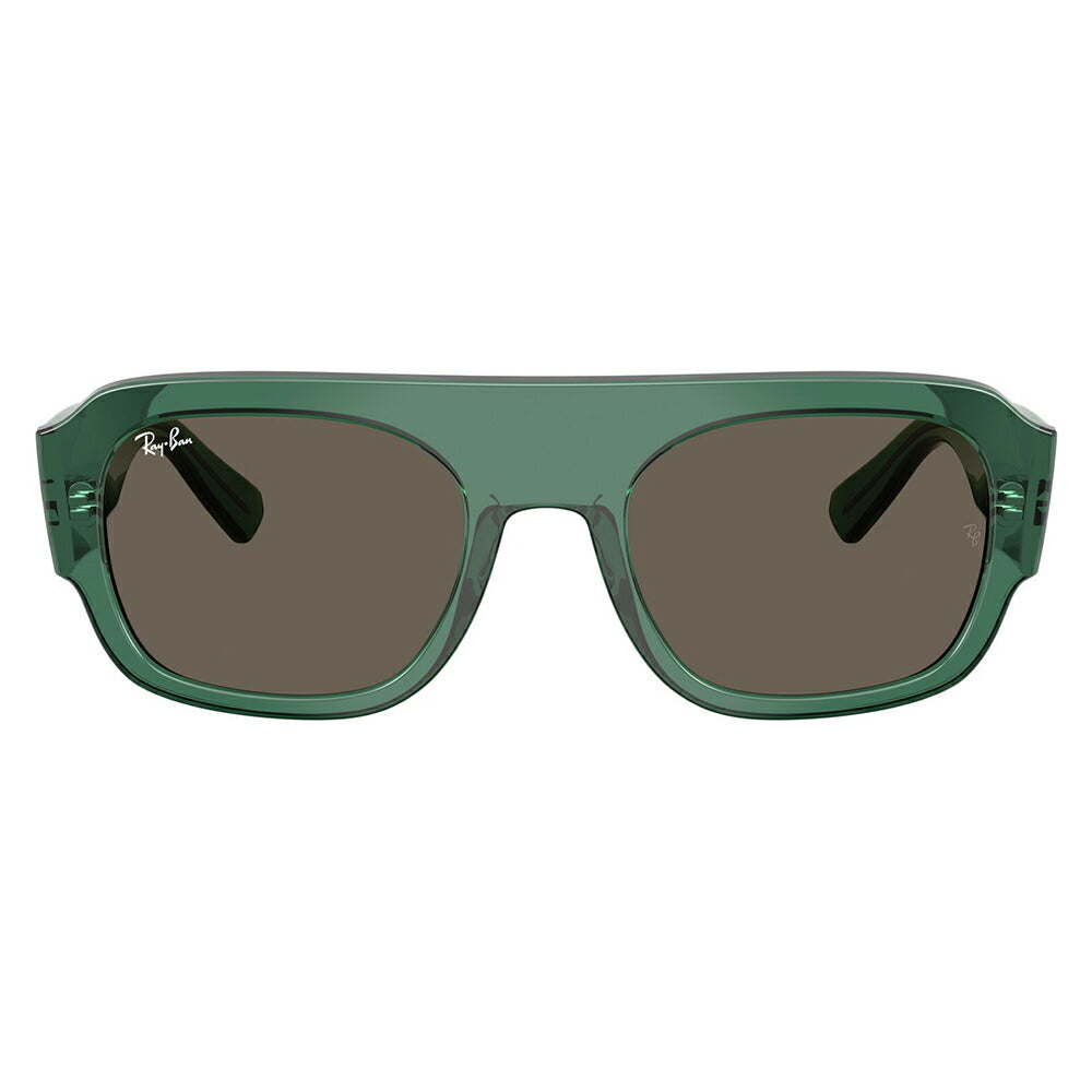 【正規品販売店】レイバン サングラス RB2218 6681/3 55 Ray-Ban レイバン純正レンズ対応 多角形 セル ユニセックス