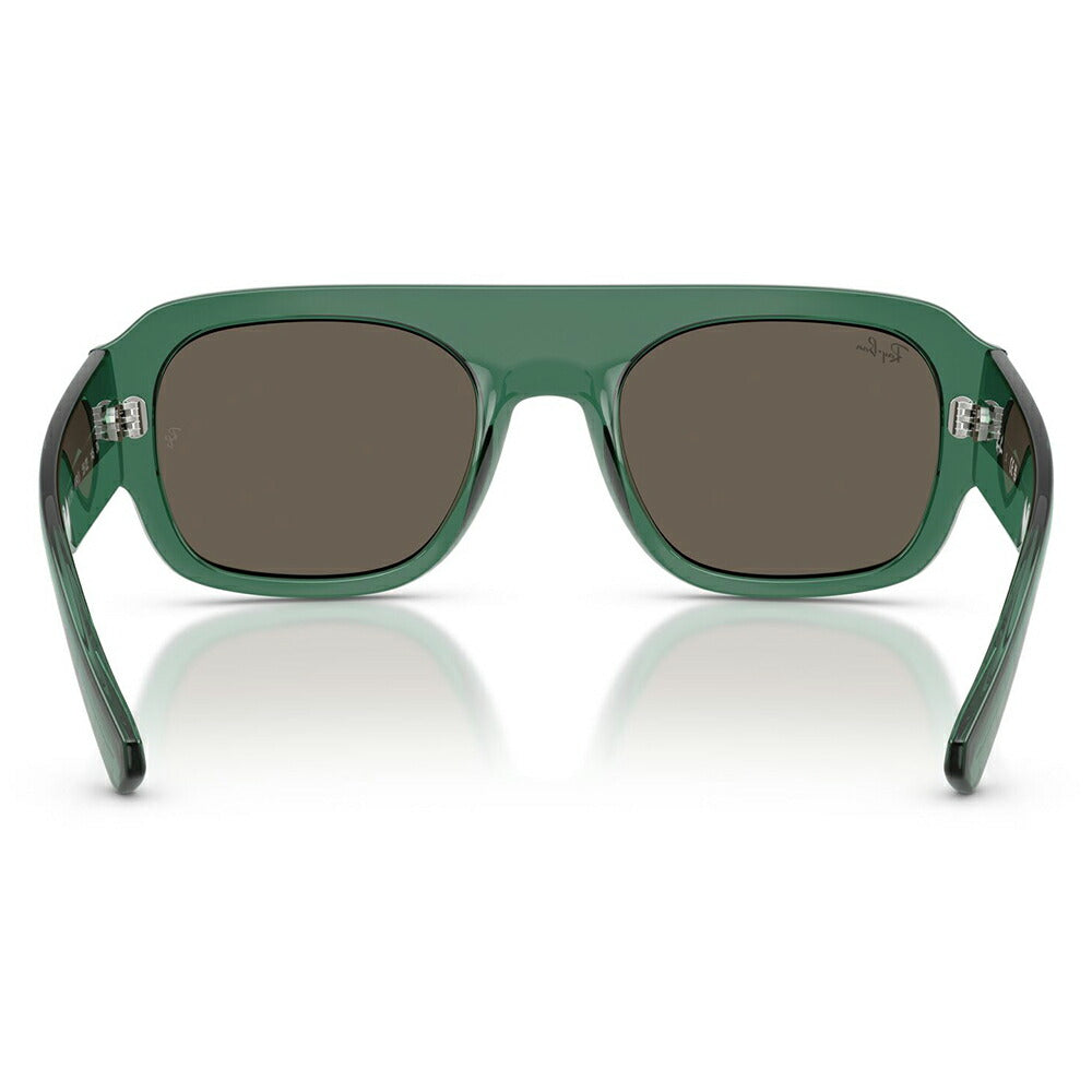 【正規品販売店】レイバン サングラス RB2218 6681/3 55 Ray-Ban レイバン純正レンズ対応 多角形 セル ユニセックス