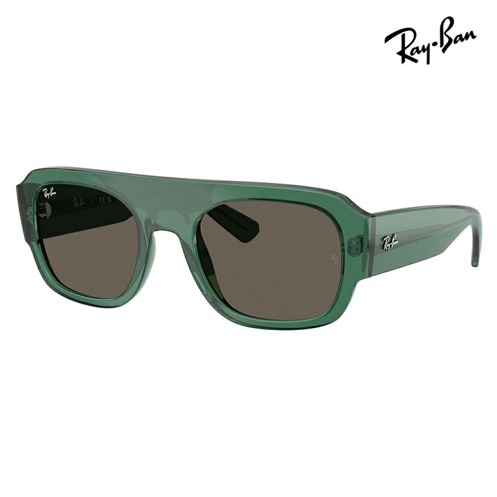【正規品販売店】レイバン サングラス RB2218 6681/3 55 Ray-Ban レイバン純正レンズ対応 多角形 セル ユニセックス