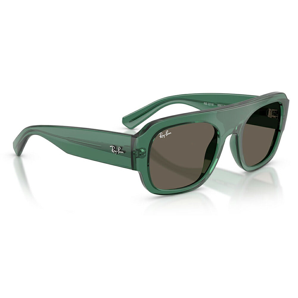 【正規品販売店】レイバン サングラス RB2218 6681/3 55 Ray-Ban レイバン純正レンズ対応 多角形 セル ユニセックス