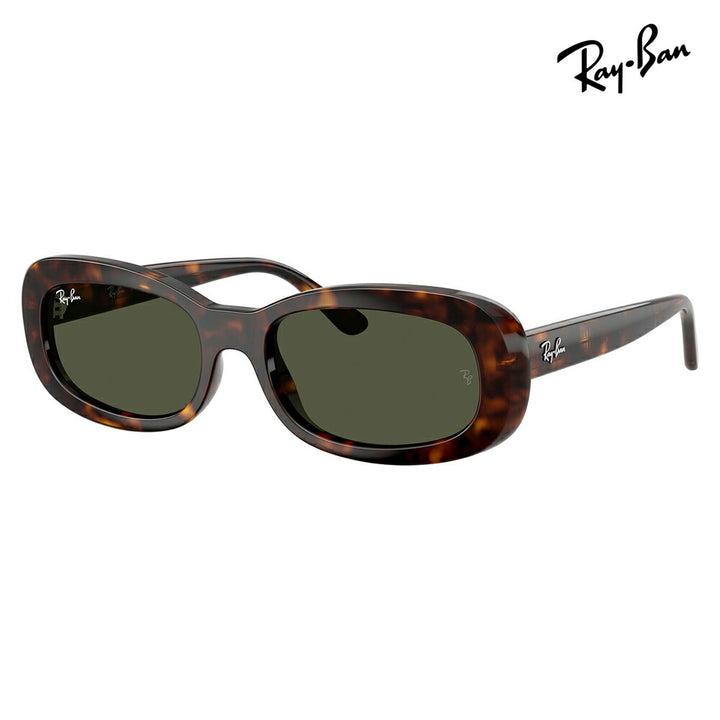 【正規品販売店】レイバン サングラス RB2221F 902/31 55 Ray-Ban レイバン純正レンズ対応 オーバル セル フルフィット ユニセックス