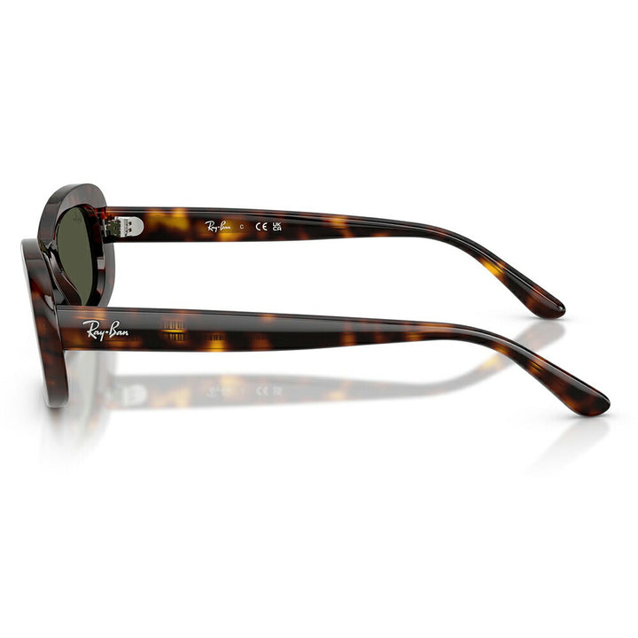 【正規品販売店】レイバン サングラス RB2221F 902/31 55 Ray-Ban レイバン純正レンズ対応 オーバル セル フルフィット ユニセックス