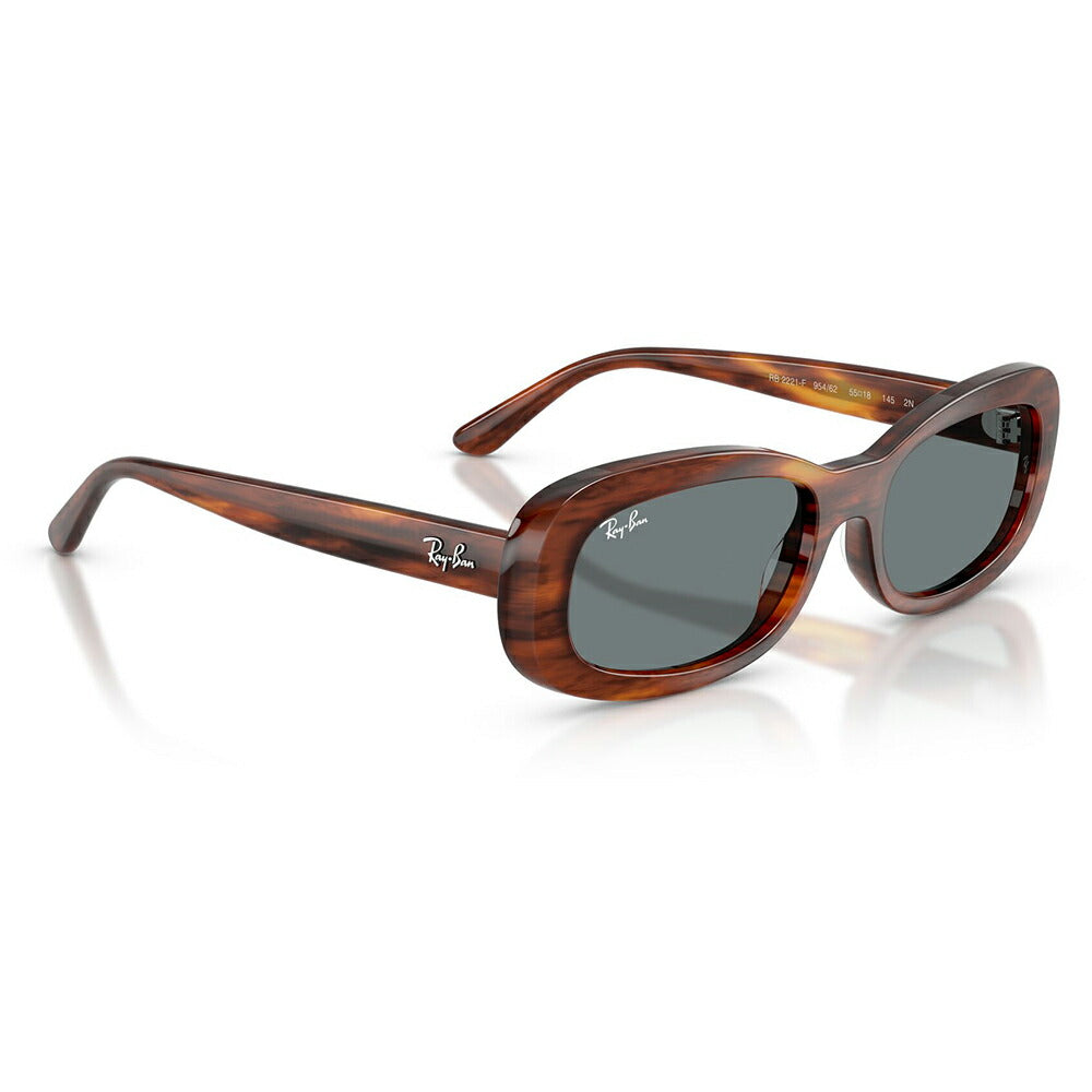 【正規品販売店】レイバン サングラス RB2221F 954/62 55 Ray-Ban レイバン純正レンズ対応 オーバル セル フルフィット ユニセックス