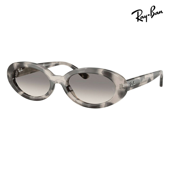 【正規品販売店】レイバン サングラス RB2223F 144832 54 Ray-Ban レイバン純正レンズ対応 オーバル セル フルフィット ユニセックス