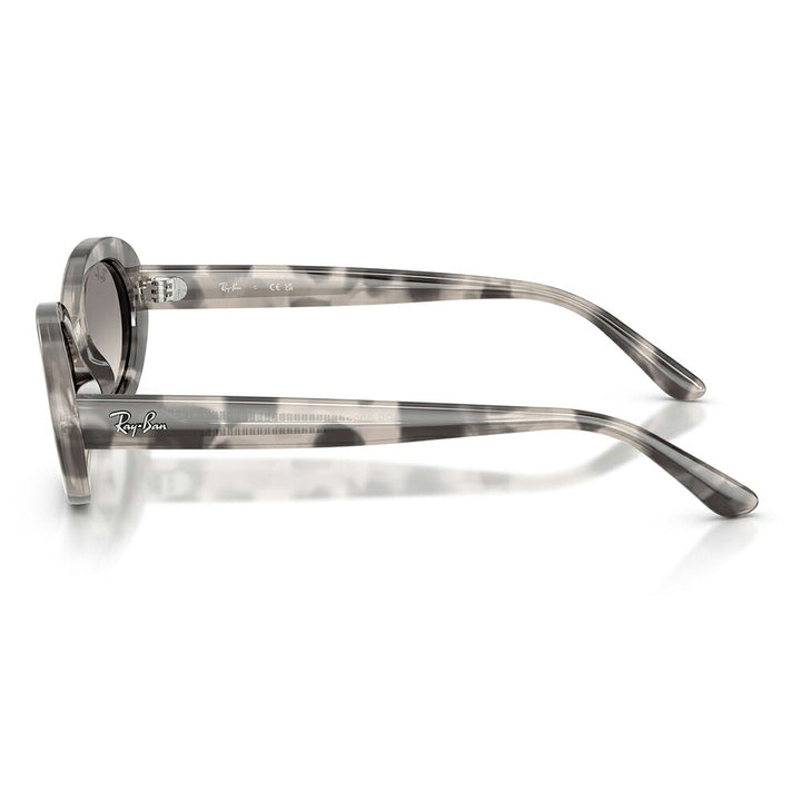 【正規品販売店】レイバン サングラス RB2223F 144832 54 Ray-Ban レイバン純正レンズ対応 オーバル セル フルフィット ユニセックス