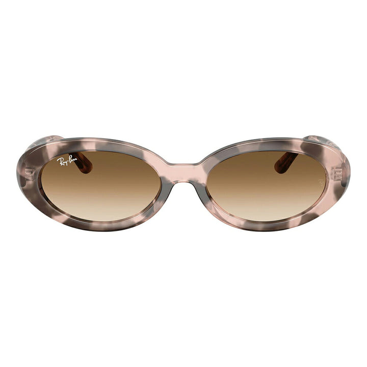 【正規品販売店】レイバン サングラス RB2223F 144951 54 Ray-Ban レイバン純正レンズ対応 オーバル セル フルフィット ユニセックス