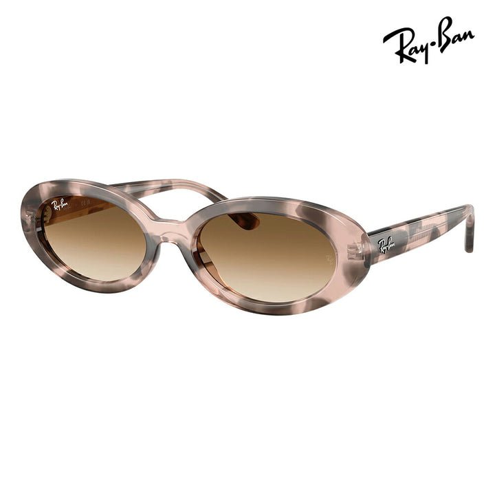 【正規品販売店】レイバン サングラス RB2223F 144951 54 Ray-Ban レイバン純正レンズ対応 オーバル セル フルフィット ユニセックス