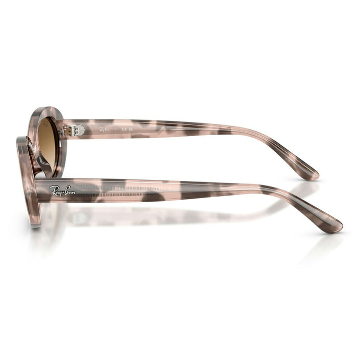【正規品販売店】レイバン サングラス RB2223F 144951 54 Ray-Ban レイバン純正レンズ対応 オーバル セル フルフィット ユニセックス