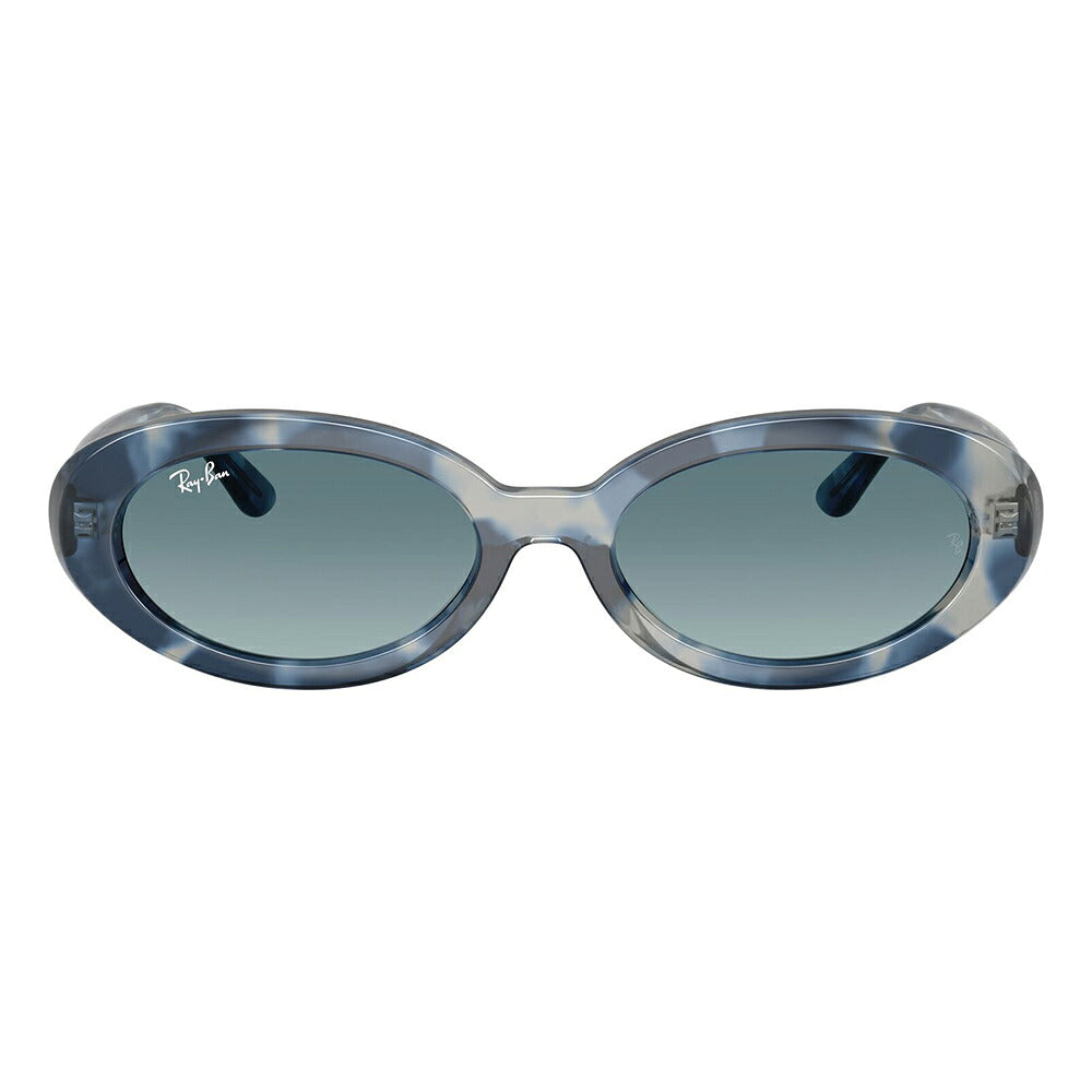 【正規品販売店】レイバン サングラス RB2223F 14503M 54 Ray-Ban レイバン純正レンズ対応 オーバル セル フルフィット ユニセックス